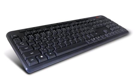 C-TECH CZ/SK KB-102M USB slim black