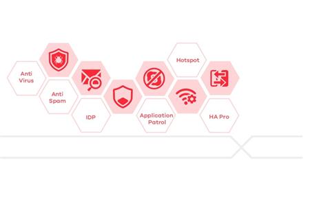 E-iCard Device High Availability Pro license for