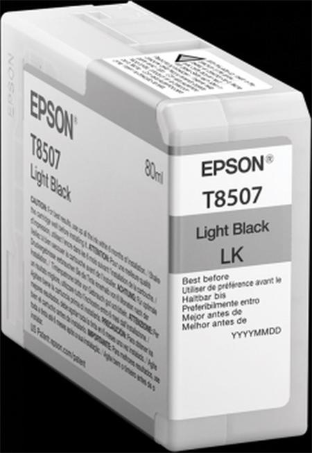 Epson Singlepack Photo Light Black T850700