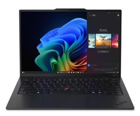 Lenovo ThinkPad X1 Carbon G13, černá (21NS004TCK)